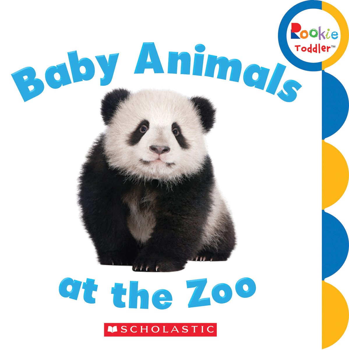 zoo babies book