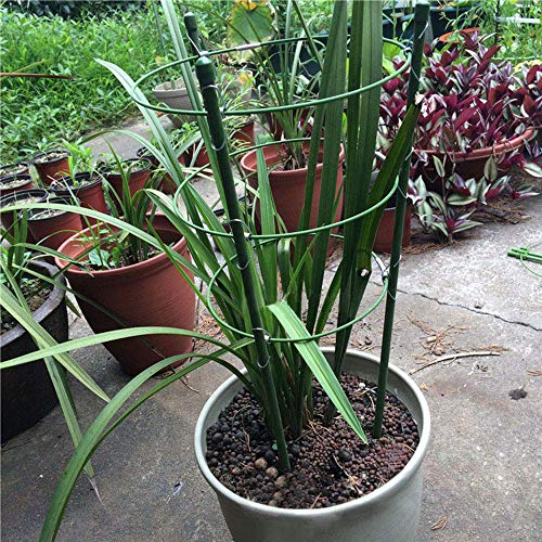 ASLEAK - Anillo de Soporte para Plantas de jardín, tamaño Grande ...