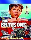BRAVE ONE / (WS)                                   image