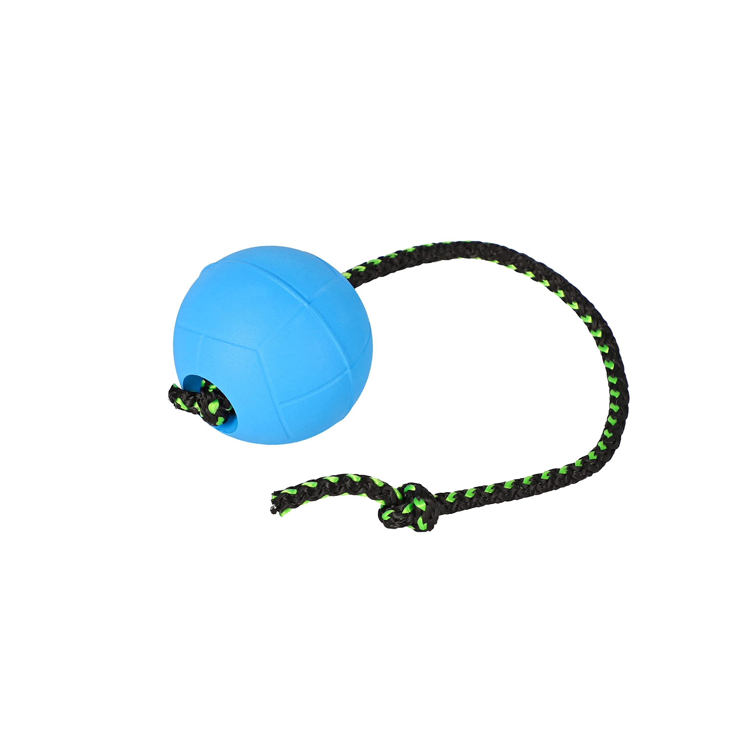 DINGO BIBI Ball 30 cm Handle Floating on Water Filled Rubber Dog Toy with String Pulled Through the Inside for Dog Training Retrieve Agility Reward Fun Azure 17256 — image 1