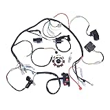 CISNO Complete Electrics Stator Coil CDI Wiring