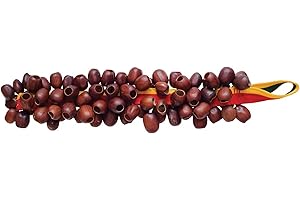 TERRE Seed Shaker (Juju Chacha Pangi Pala) Hand bell Percussion Accessories (Pala)