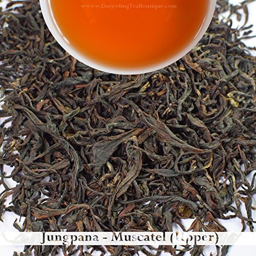Bulk Wholesale Pack: 2017 Darjeeling Second Flush Tea - Jungpana | 500g (17.63oz) | Muscatel - Summer Tea as Breakfast Tea & Afternoon Tea | Darjeeling Tea Boutique