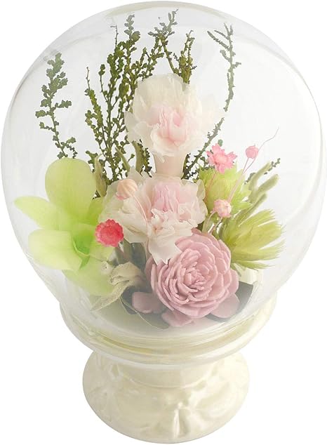 Amazon ドーム M プリザーブドフラワー 仏花 ドーム 一対 初盆 花 お供え物 プリザーフラワー仏花 供花 ガラスドーム 法事 仏壇用 仏具 花ギフト おしゃれ お供えの花 ミニ仏壇 モダン お彼岸 弔電 一周忌 アレンジ仏花 命日 花 造花 三回忌 四十九日 お盆 ペット 仏壇の Amazon ドーム M プリザーブドフラワー 仏花 ドーム 一対 初盆 花 お供え物 プリザーフラワー仏花 供花 ガラスドーム 法事 仏壇用 仏具 花ギフト おしゃれ お供えの花 ミニ仏壇 モダン お彼岸 弔電 一周忌 アレンジ仏花 命日 花 造花 三回忌 四十九日 お盆 ペット 仏壇の