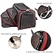 Petsfit Expandable Cat Carrier Dog Carriers,Airline Approved Soft-Sided Portable Pet Travel Washable Carrier for Kittens,Puppies,Removable Soft Plush mat and Pockets,Locking Safety Zippers