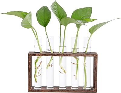 Hyindoor Desktop Glass Planter Propagation Station with Wooden Stand Rack
