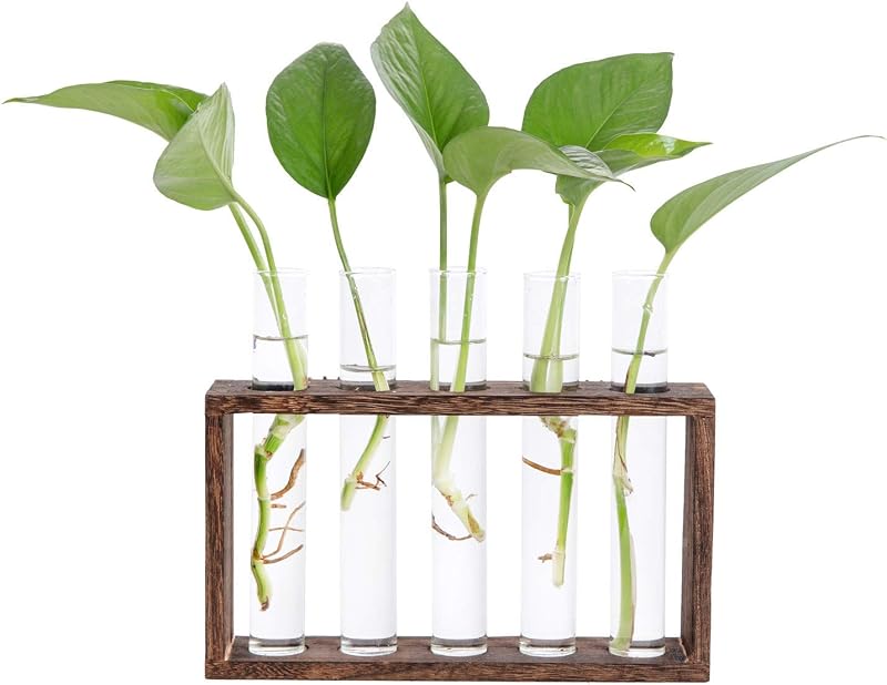 Hyindoor Desktop Glass Planter Propagation Station with Wooden Stand Rack