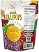Organic Lollipops Assorted Flavors