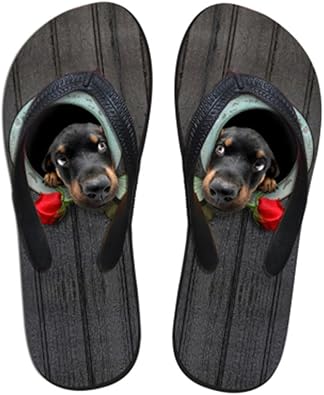 dachshund slippers amazon