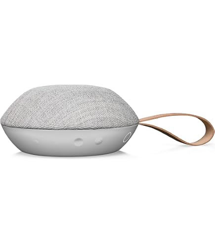 Amazon.com: Vifa Reykjavik Bluetooth Speaker - Portable Wireless