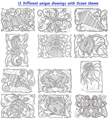 Under the Sea Coloring Greeting Cards for Adults | Birthdays or Thank You Cards | 12 Unique A6 Designs | Blue Envelopes Included