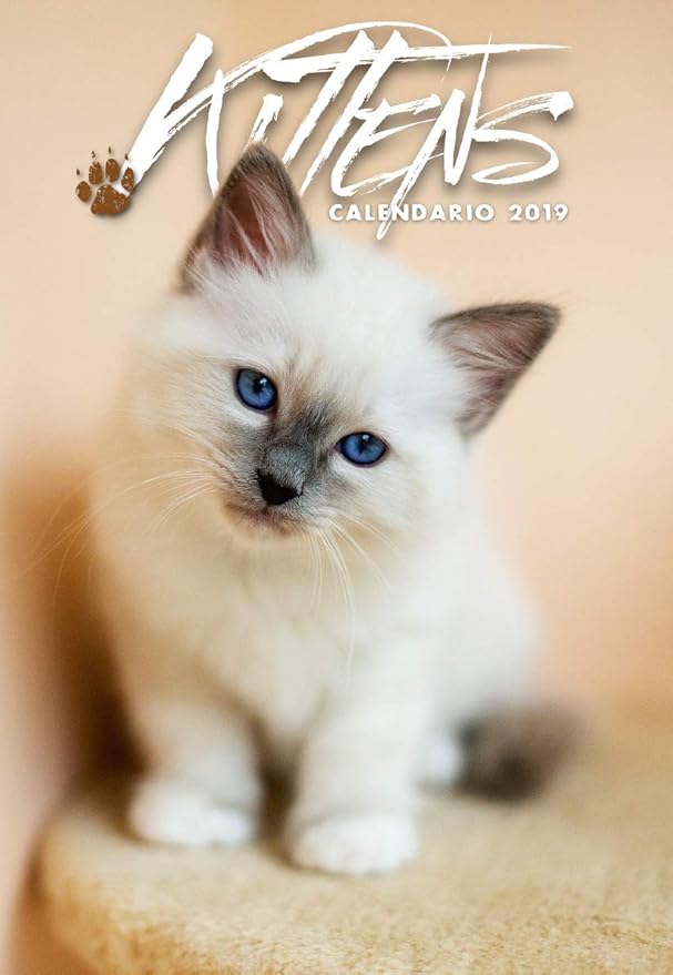 Calendario de gatitos 2019: ¡Imprime tu ternura felina!