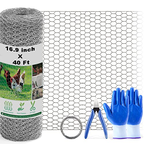 Fabulas Chicken Wire Fencing