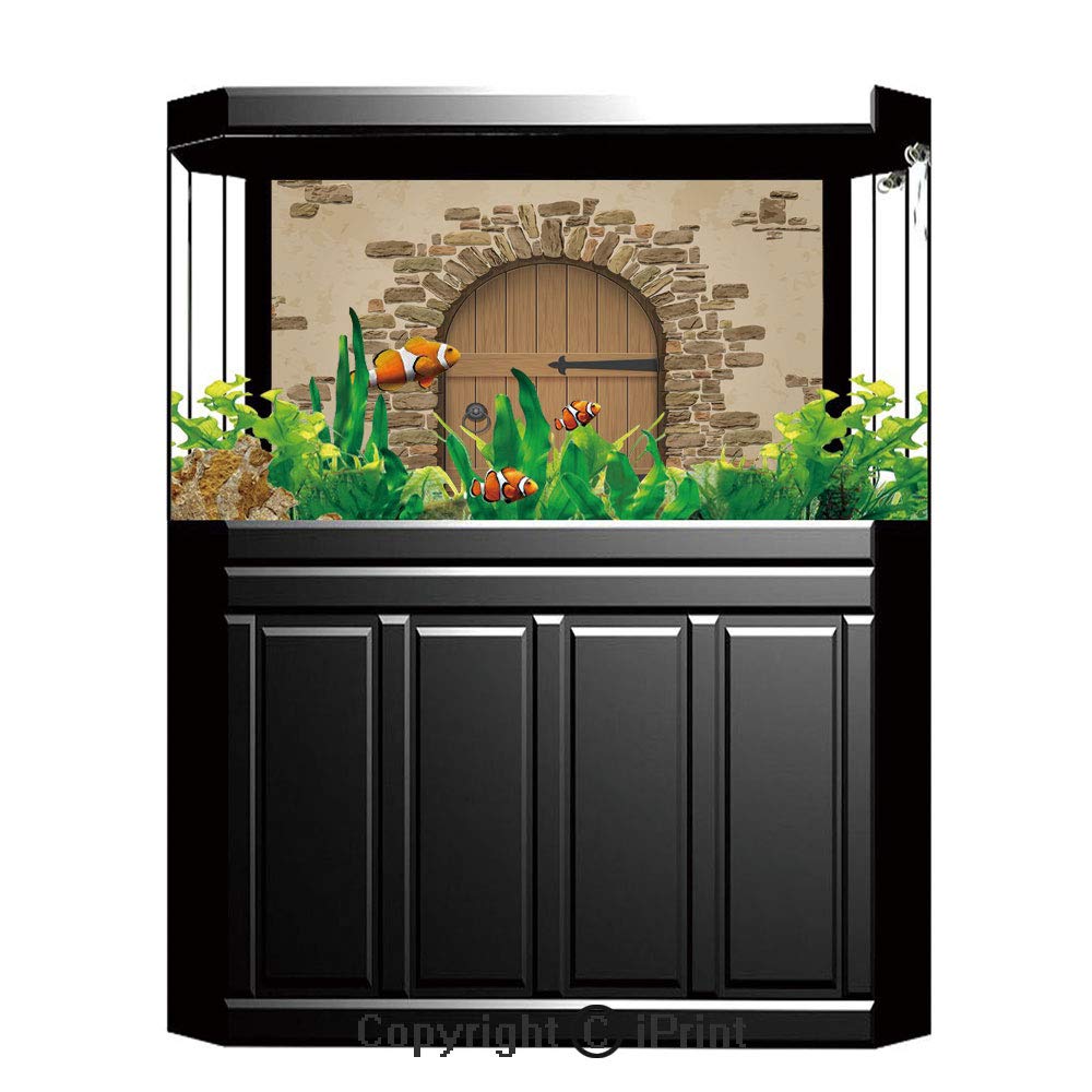 Best wine cellar images