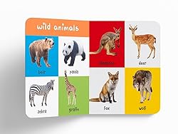 My First 100 Library: Boxset of 5 Early Learning
