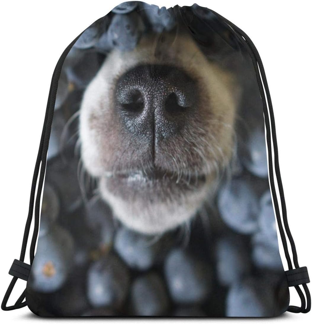 what are dogs noses made of