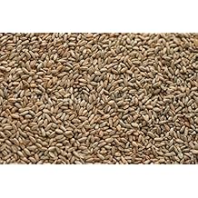 Briess Rye Malt, 10 lb