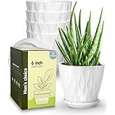 Goproauto 6 Inch Indoor Planter Pots with Drainage Hole and Tray Saucer,Flower Pots for Indoor Outdoor Garden Plants and Flowers, Multicolor, 5 Packs (White)