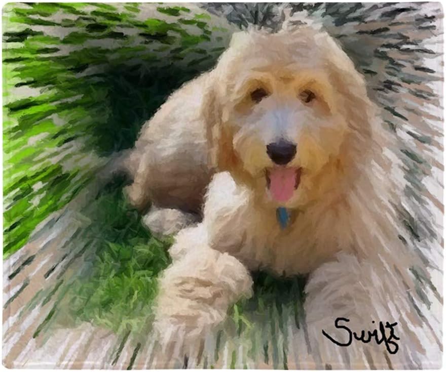 goldendoodle throwing up