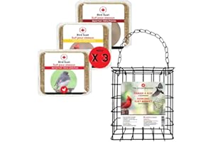 Bird Suet Cage Feeder with 3 Mixed Flavor Suet Cakes, Made in Canada