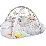 skip hop cloud rattle