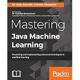 Mastering Java Machine Learning: A Java developer's guide to implementing machine learning and big data architectures