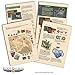 Blood Red Skies Battle of Britain 1:200 WWII Mass Air Combat Starter Set War Game