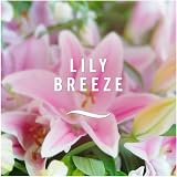 Febreze 3Volution Plug In Starter Kit Lily Breeze 4 Refills 20ml each view 3