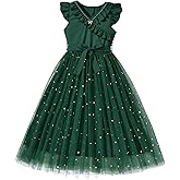 WDIRARA Girl's V Neck Ruffle Sleeve A Line Dress High Waist Mesh Tulle Dress