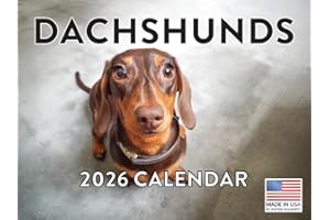 POSTER FOUNDRY Dachshund Calendar 2026 Monthly Wall Calender 12 Month | American Made In The USA