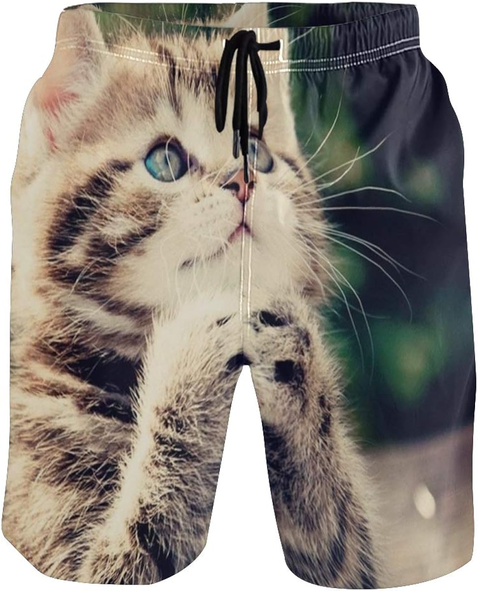 Animals Praying Kitten Cat Men's Swim Trunks Fit Quick Dry Beach Board
