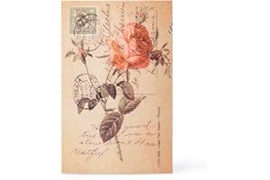 BSEASH Diversion Book Safe, Dictionary Secret Cash Safe Box with Combination Lock, Diversion Book Hidden Safe (Rose,Code, M)