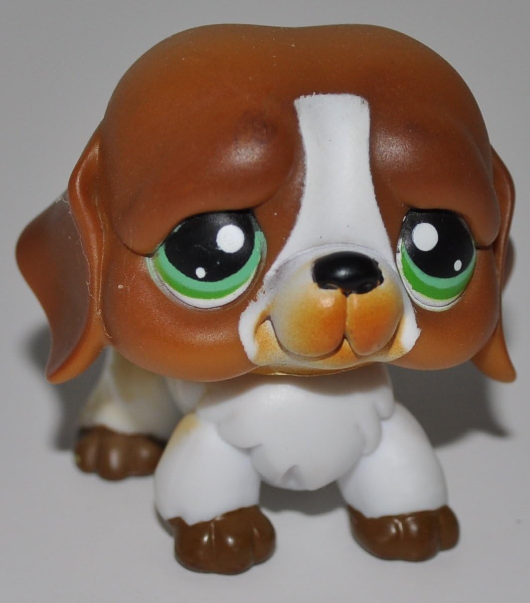 jack russell petfinder