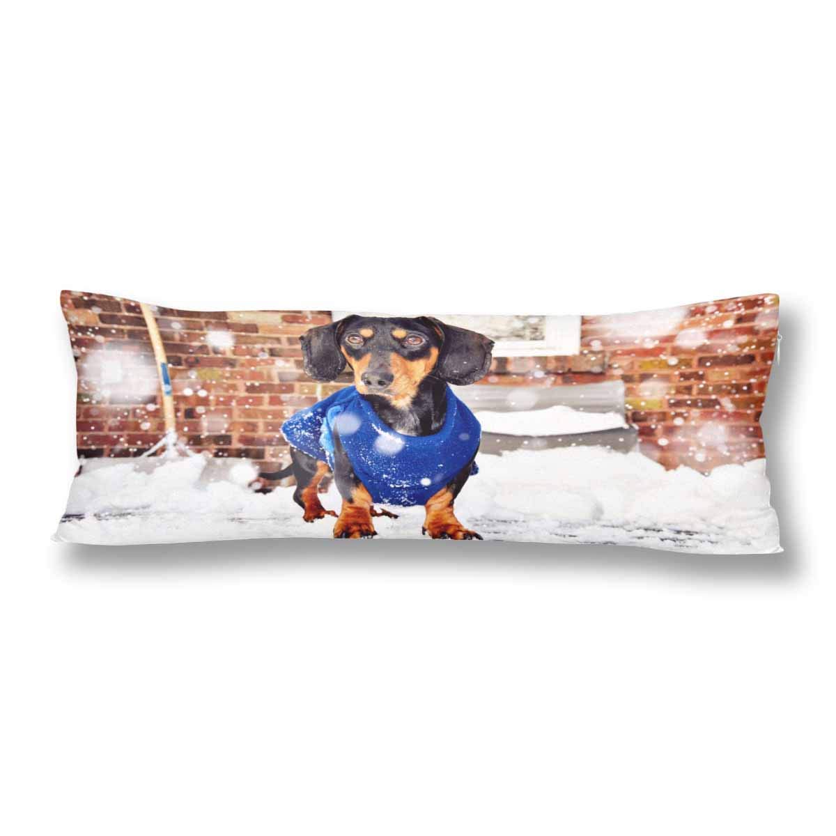 Dachshund Black And Tan Miniature Purebred Dog Winter Snow Soft