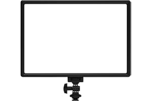 RALENO LED Video Light, White Camera Light for Pictures Video Recording with 4000mAh Battery Support Type-C USB Power Supply, CRI>95 3200K-5600K Photo Lights for Outdoor Photography Live Streaming