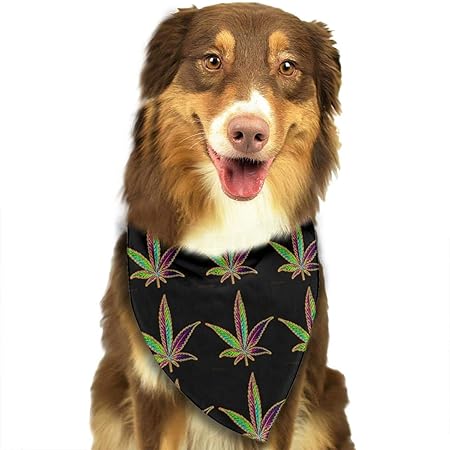 Sdltkhy Cannabis Marijjuana Leaf Bright Pet Dog Cat Bandanas Triangle Bibs Pet Scarf Dog Neckerchief Headkerchief Pet Accesso