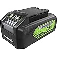 Greenworks 24V 4Ah USB Battery, BAG709, Green