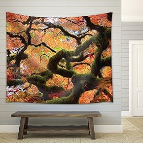Gnarly Japanese Maple Tree - Fabric Wall Tapestry Home Decor - 51x60 inches