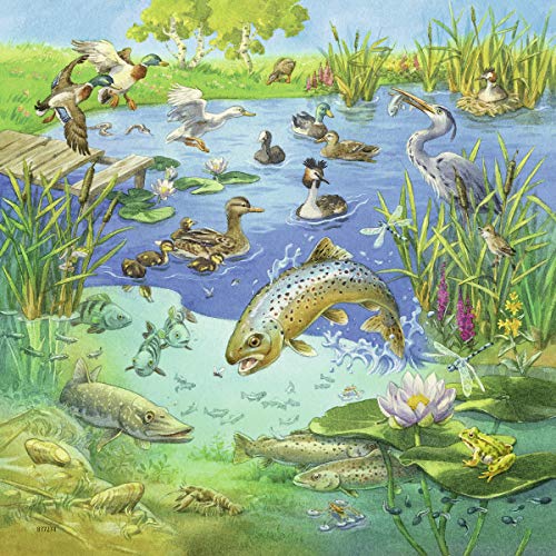 Ravensburger Kinderpuzzle - 08050 Tiere in ihren Lebensräumen - Puzzle für Kinder ab 5 Jahren, mit 3x49 Teilen – Bild 4