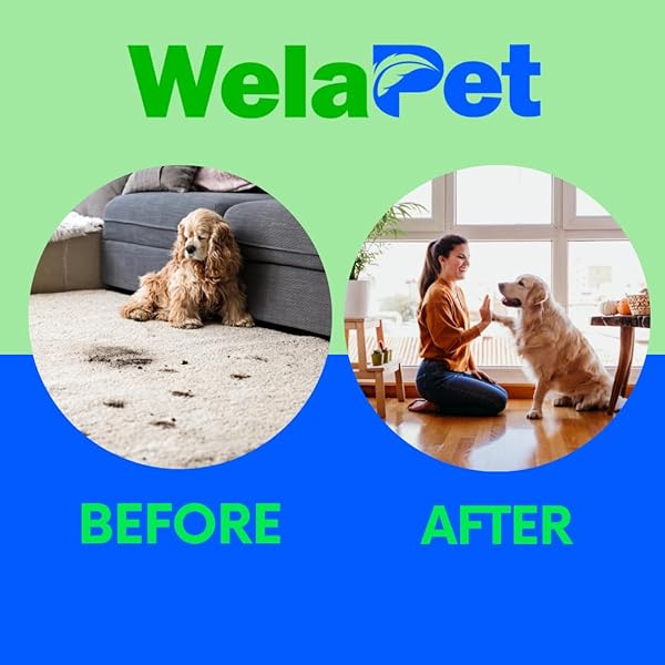 WELAPET FOAM PAW CLEANER | NO-RINSE FOAMING CLEANSER WITH SILICONE BRISTLE BRUSH FOR GENTLE DEEP CLEANING | FRAGRANCE-FREE, PH-BALANCED FORMULA SAFE FOR ALL DOGS AND CATS | 5OZ