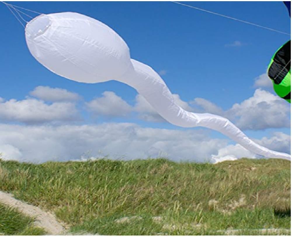 Life's a Breeze Tadpole Windsock Flown From Telescopic Flag Pole