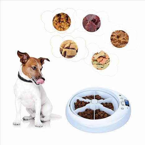 Jumr Timed Cat Feeder Intelligent Automatic With Programmable