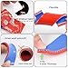 Gplus Silicone Radiator Coolant Hose Kit Clamps Compatible With Suzuki LTZ400 LTZ 400 Red