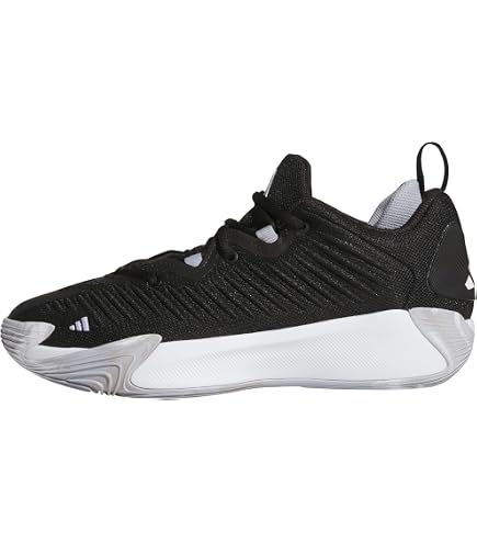 Amazon.com | Adidas N3XT L3V3L 2020 Mens Basketball Trainers