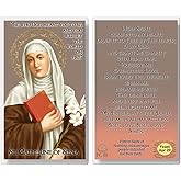 THE SAINTS COLLECTION St Catherine of Siena Laminated Prayer Cards pack of 20