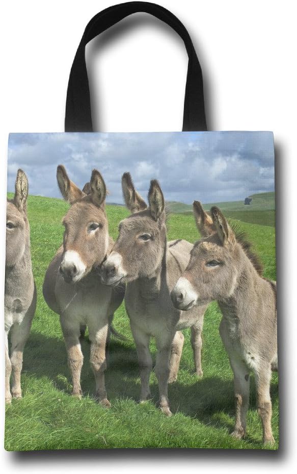 Hellenic Parliament Reusable Shopping Grocery Bag Lightweight Polyester Foldable Beach Travel Tote