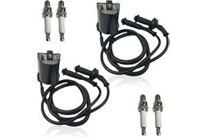 QINLANAP Ignition Coil with Spark Plug Cap& Spark Plug Fit for Honda Shadow ACE Aero Spirit Sabre 1100 VT1100