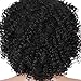 HAIRCUBE Afro Curly Wigs for Black Women Short Kinky Jet Black Heat Resistance Fiber Wigs for Women