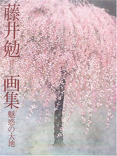 藤井 勉画集 魅惑の大地 Amazon Co Uk Tsutomu Fujii Books