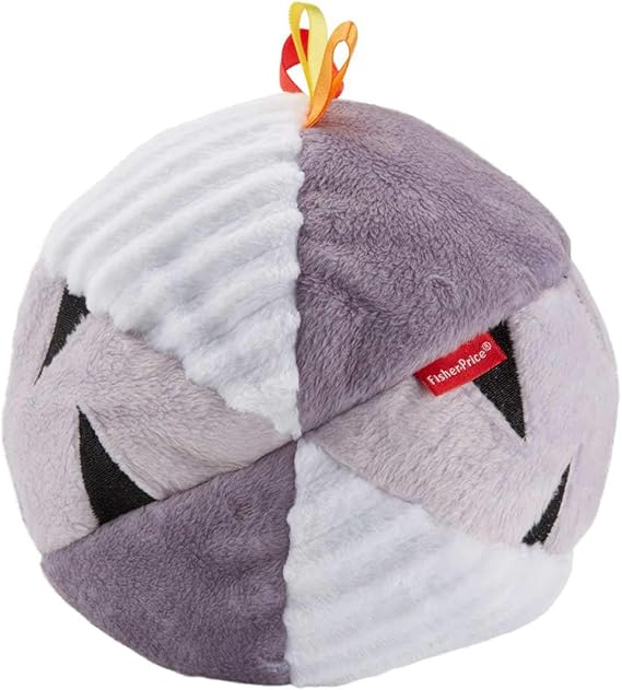 pelota didactica fisher price